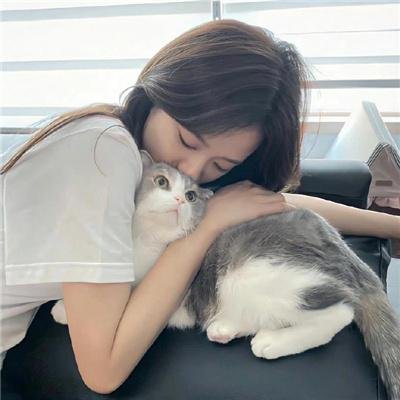 绵羊侦探团