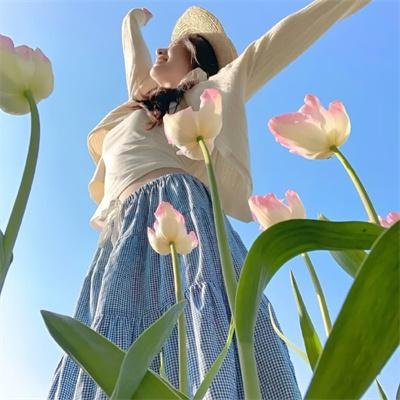 速写者 在线观看